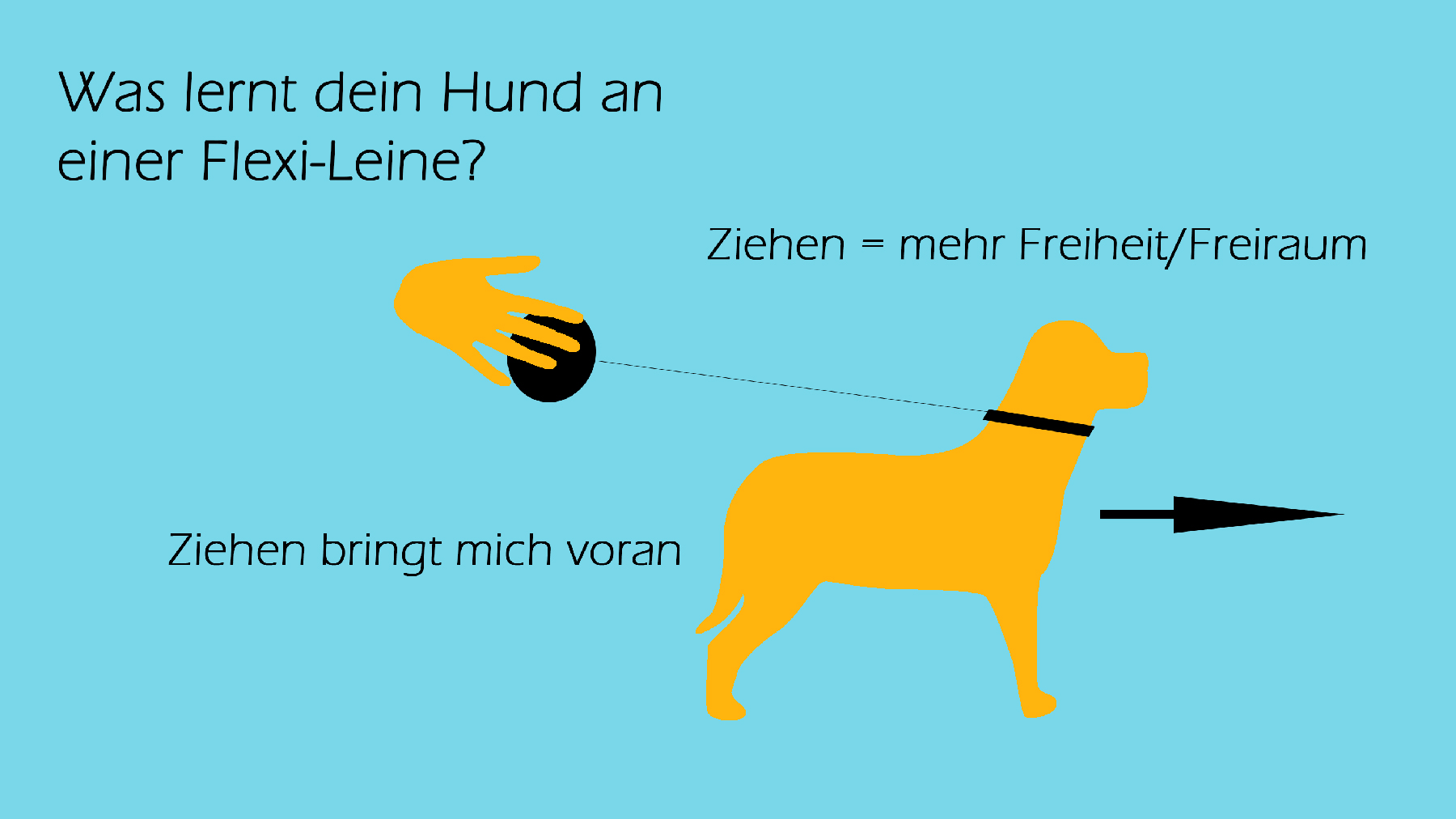 Hundecoach Allgäu