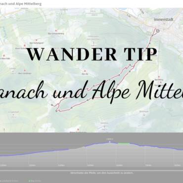 Hundewanderung im Allgäu – Almanach und Alpe Mittelberg