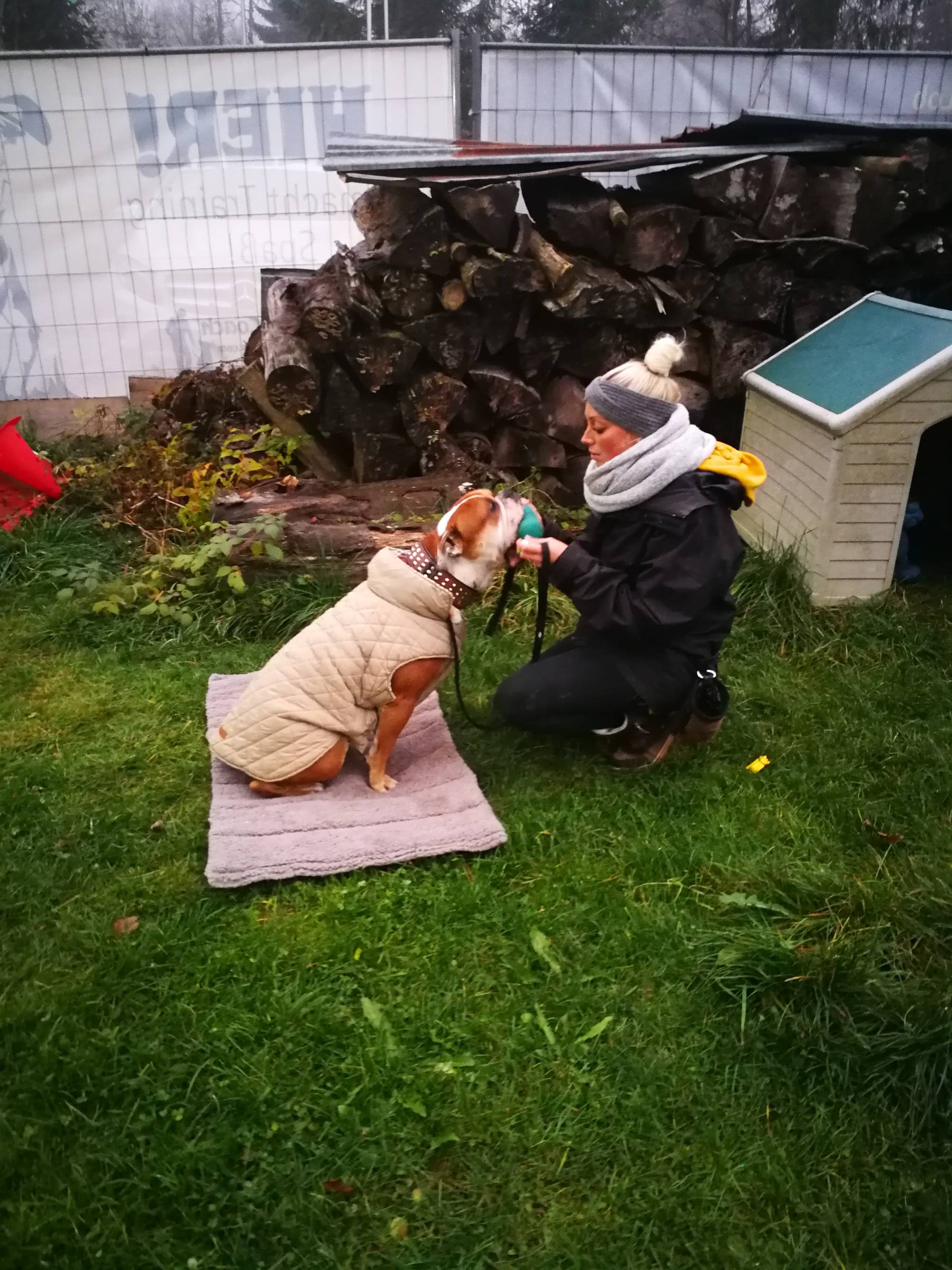 Hundeschule Allgäu - Vorbereitung - Training - Miteinander arbeiten