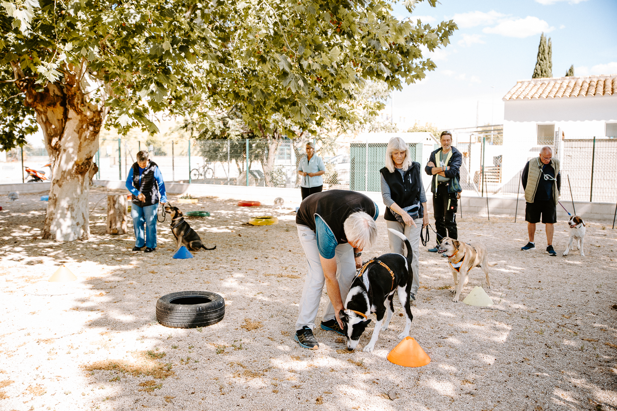 Hundecoach Wolfgang Siebel Deine Hundeschule in Denia Costa Blanca Gruppenstunden Dogtraining Escuela de perros Spass und Lernen