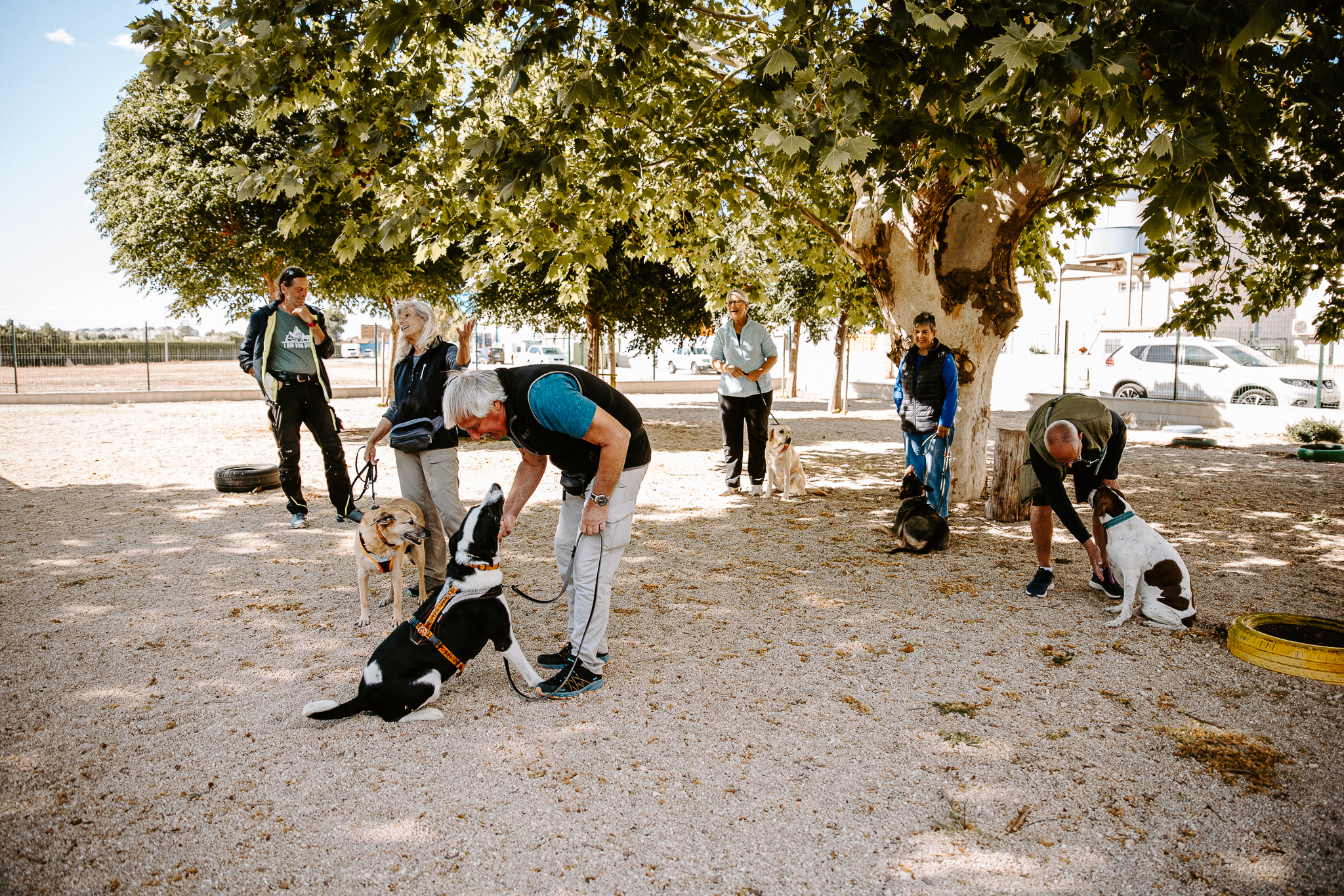 Hundecoach Wolfgang Siebel Deine Hundeschule in Denia Costa Blanca Gruppenstunden Dogtraining Escuela de perros Spass und Lernen